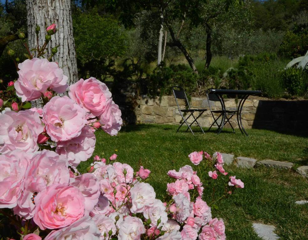 Villa Agriturismo San Leo Figline Valdarno Exterior foto